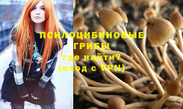 a pvp Балахна