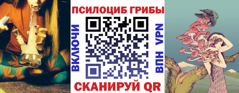 ОМГ ОМГ зеркало  Балтийск  Псилоцибиновые грибы Cubensis 